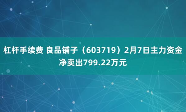 杠杆手续费 良品铺子（603719）2月7日主力资金净卖出799.22万元