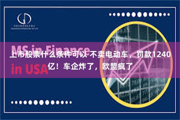 上市股票什么条件可以 不卖电动车，罚款1240亿！车企炸了，欧盟疯了