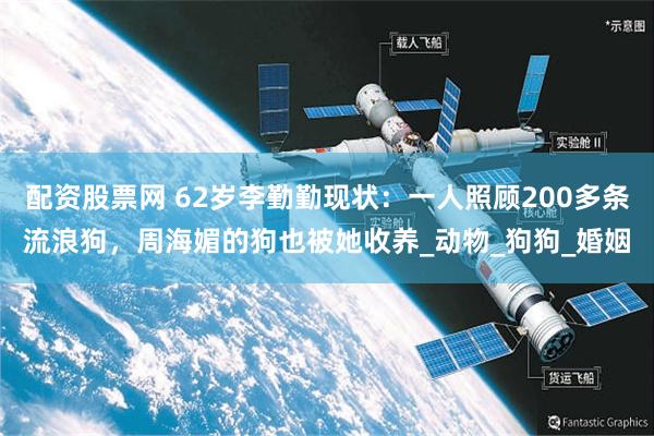 配资股票网 62岁李勤勤现状：一人照顾200多条流浪狗，周海媚的狗也被她收养_动物_狗狗_婚姻