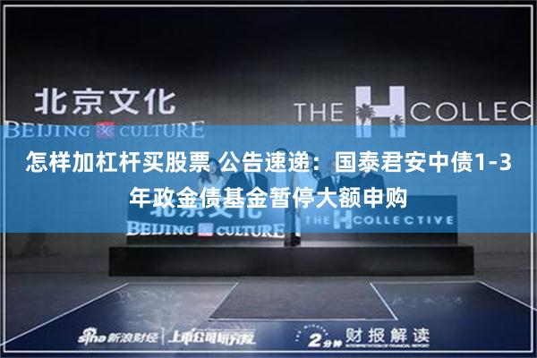怎样加杠杆买股票 公告速递：国泰君安中债1-3年政金债基金暂停大额申购