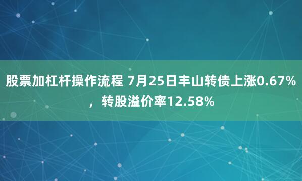 股票加杠杆操作流程 7月25日丰山转债上涨0.67%，转股溢价率12.58%