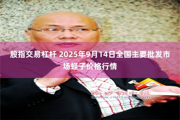 股指交易杠杆 2025年9月14日全国主要批发市场蛏子价格行情